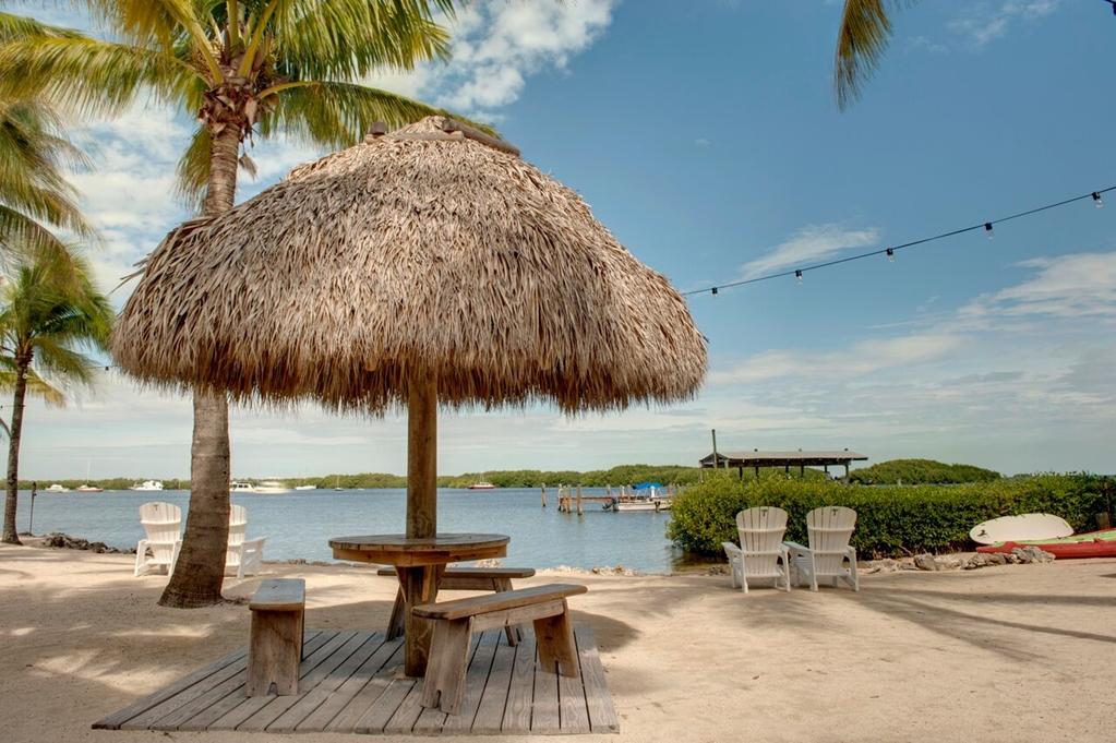 Coconut Palm Inn Tavernier Natur foto